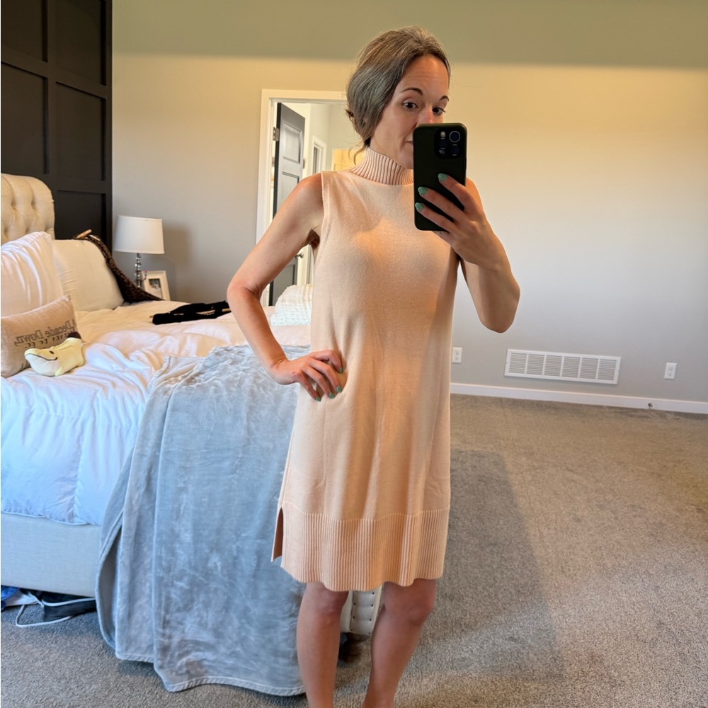 Sleeveless Turtleneck Sweater Dress - size small